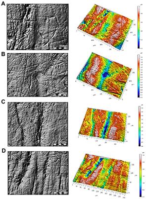 Behavioral strategies of prehistoric and historic children from dental microwear texture analysis